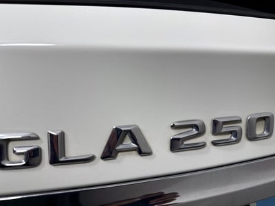 2015 Mercedes-Benz GLA GLA 250