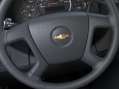 2025 Chevrolet Express Passenger 2500 1LS